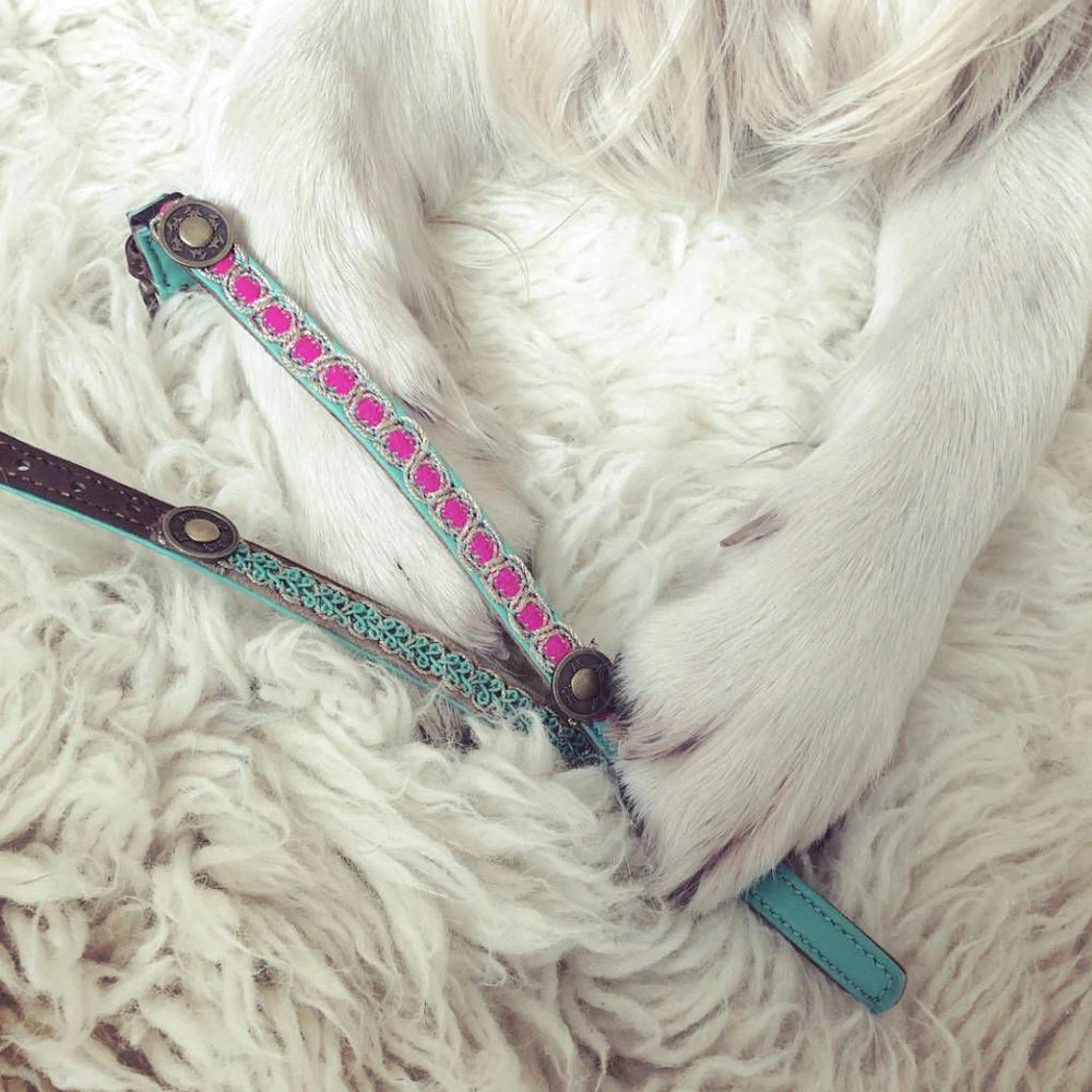 DWAM Kattenhalsband Tommy 6 DWAM Kattenhalsband Tommy - Afbeelding 6