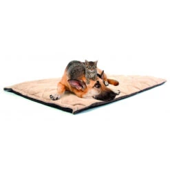 Duvo+ Flectabed Q -Premium Dierenwinkel e04ab64f8d376552b2003c0c72a4a1337cc87df720a5245534f46463fb053189 4