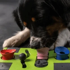 Eat Slow Live Longer Puzzle Antischrok Voerbak -Premium Dierenwinkel eat slow live longer puzzle antischrok voerbak 220720 0500 none