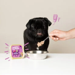 Edgard & Cooper Adult - Wild & Eend - Kuipje -Premium Dierenwinkel edgard cooper adult wild eend kuipje 168648 1000 none