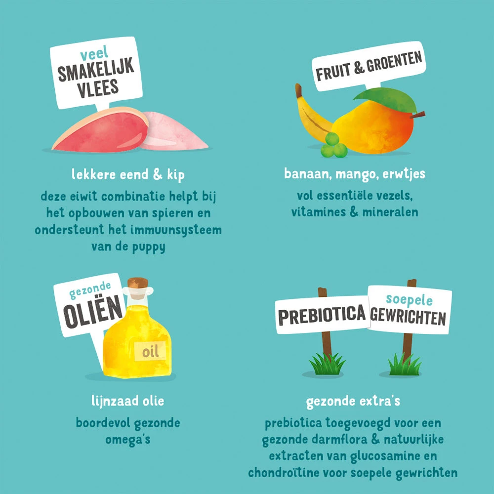 Edgard & Cooper Puppy - Eend & Kip - Blik 5 Edgard & Cooper Puppy - Eend & Kip - Blik - Afbeelding 5