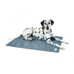 Scruffs Cooling Mat -Premium Dierenwinkel f3ac318b6e6e6b42855db51248e05504fdcc915c79eeb971b91c906bcbc3b6b4 5
