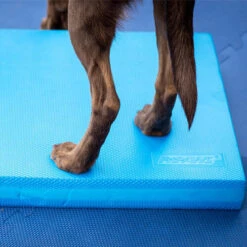FitPAWS Balance Pad -Premium Dierenwinkel fitpaws balance pad 176131 0500 none