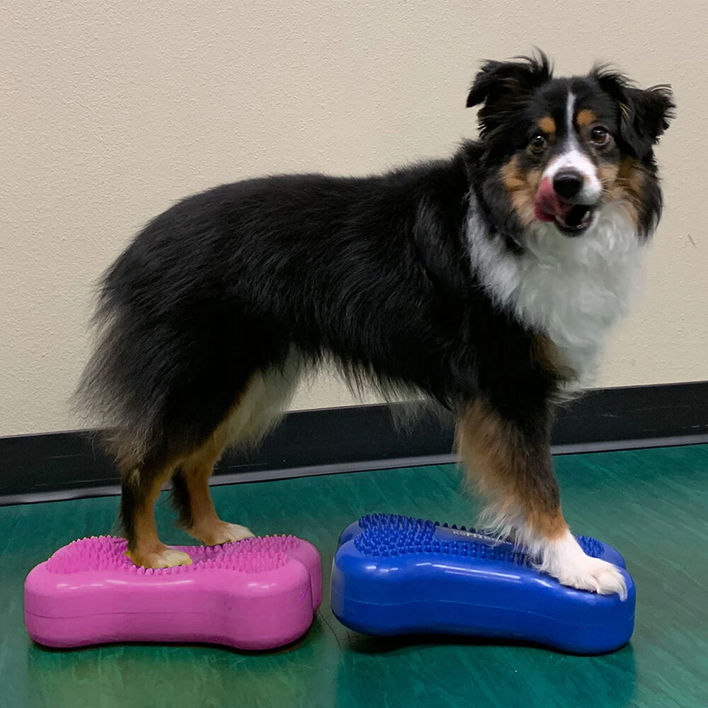 FitPAWS Bone Mini's 4 FitPAWS Bone Mini's - Afbeelding 4