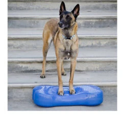 FitPAWS K9Fitbone 5 FitPAWS K9Fitbone -Premium Dierenwinkel fitpaws k9fitbone 109639 0500 none