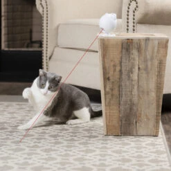 Frolicat Dancing Dot -Premium Dierenwinkel frolicat dancing dot 184735 1000 none