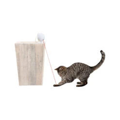 Frolicat Dancing Dot -Premium Dierenwinkel frolicat dancing dot 184738 1000 none