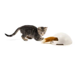 FroliCat Fox -Premium Dierenwinkel frolicat fox 136600 2000 none