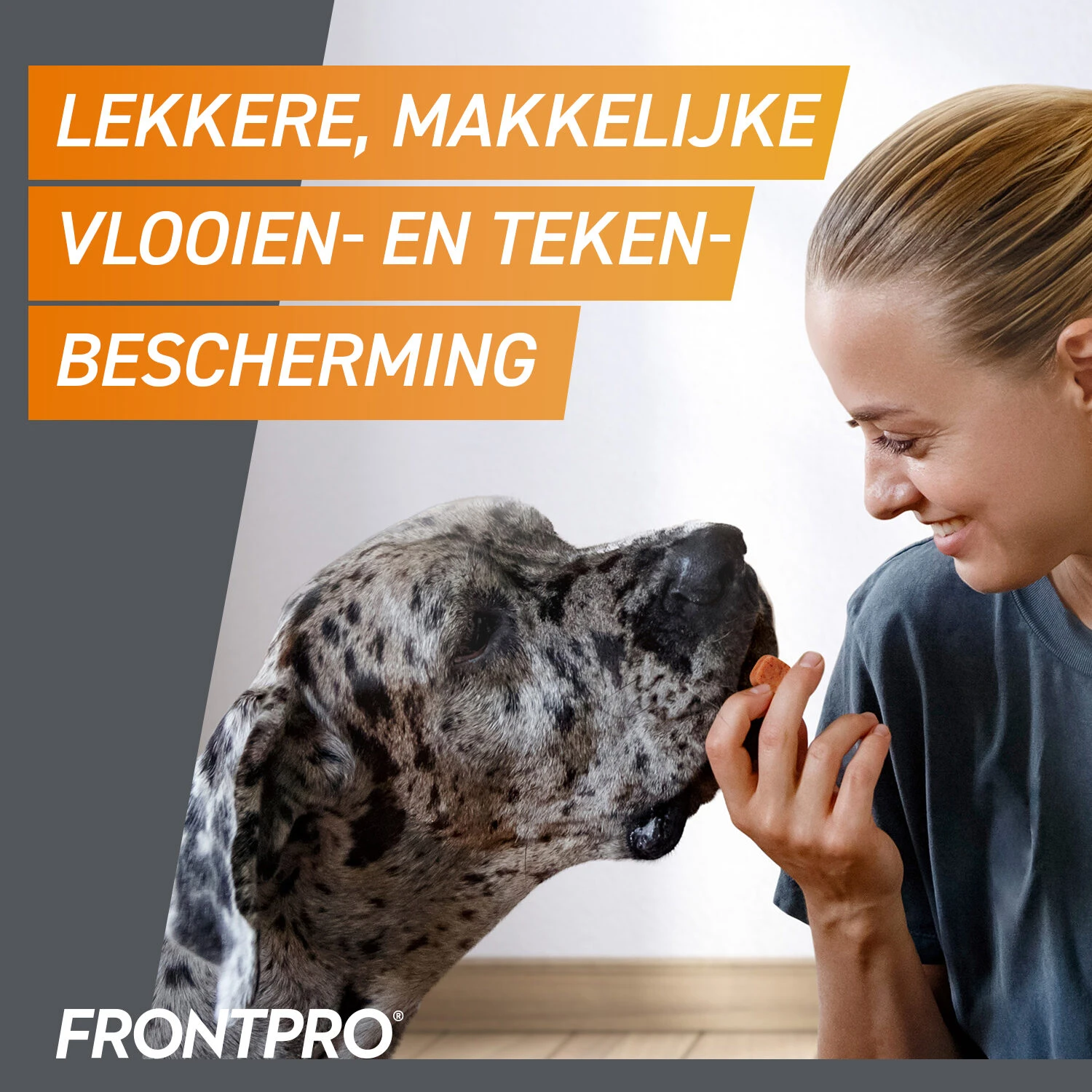FRONTPRO Kauwtabletten Hond 18 FRONTPRO Kauwtabletten Hond - Afbeelding 18