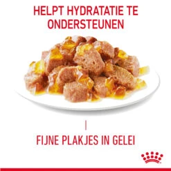 Royal Canin Light Weight Care In Jelly - Kattenvoer -Premium Dierenwinkel gHz8KLAqtgAJp5nKH3bPtgMazghEWl metaUm95YWwtQ2FuaW4tTGlnaHQtV2VpZ2h0LUNhcmUtaW4tSmVsbHlfMDMuanBn