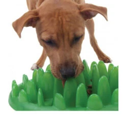 Company Of Animals Green Slow Dog Feeder -Premium Dierenwinkel green slow dog feeder 119422 0500 none