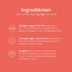 Greenfields Mobility+ -Premium Dierenwinkel greenfields mobility 208394 2000 none