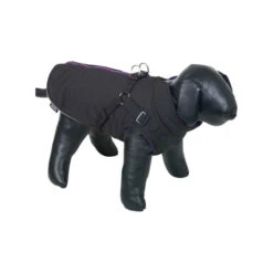 Nobby Hondenjas Sobak -Premium Dierenwinkel hQWcOLZc59ufZPTnJZr8d8cougrYCS metabm9iYnlfaG9uZGVuamFzX3NvYmFrXzIxNjkxNV8wNTAwX25vbmUuanBn