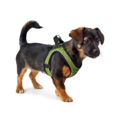 Hunter Hilo Comfort Harnas -Premium Dierenwinkel hunter hilo comfort harnas 134164 1000 none