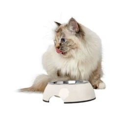 Hunter Melamine Voer- En Drinkbak - Wit 16 Hunter Melamine Voer- En Drinkbak - Wit -Premium Dierenwinkel hunter melamine voer en drinkbak wit 169570 0500 none