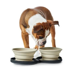 Hunter Siliconen Reiskommen In Tasje -Premium Dierenwinkel hunter siliconen reiskommen in tasje 175747 2000 none