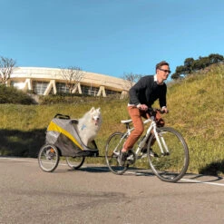 InnoPet Buggy Hercules 11 InnoPet Buggy Hercules -Premium Dierenwinkel innopet buggy hercules 196502 2000 none