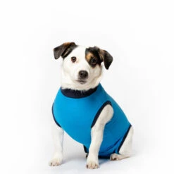 Jacketz Medical Body Suit Hond 29 Jacketz Medical Body Suit Hond -Premium Dierenwinkel jacketz medical body suit hond xs blue 129595 2000 none
