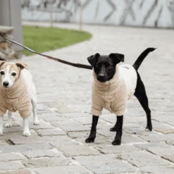 Kentucky Dogwear Hondenjas Teddy Fleece 21 Kentucky Dogwear Hondenjas Teddy Fleece -Premium Dierenwinkel kentucky dogwear hondenjas teddy fleece 219186 0500 none