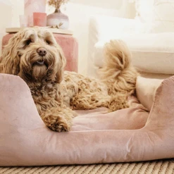 Kentucky Dogwear Velvet Hondenmand -Premium Dierenwinkel kentucky dogwear velvet hondenmand 219658 0500 none