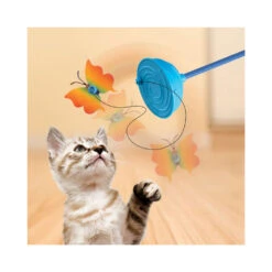 KONG Cat Teaser Purrsuit Vlinder 7 KONG Cat Teaser Purrsuit Vlinder -Premium Dierenwinkel kong cat teaser purrsuit vlinder 217713 1000 none