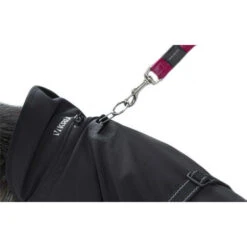 Kruuse Rehab Hondendeken 6 Kruuse Rehab Hondendeken -Premium Dierenwinkel kruuse rehab hondendeken 108004 0500 none