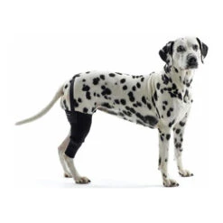 Kruuse Rehab Kniebeschermer 34 Kruuse Rehab Kniebeschermer -Premium Dierenwinkel kruuse rehab kniebeschermer 142277 0500 none