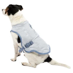 Kurgo Core Cooling Vest -Premium Dierenwinkel kurgo core cooling vest 222803 0500 none
