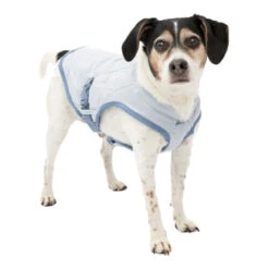 Kurgo Core Cooling Vest -Premium Dierenwinkel kurgo core cooling vest 222805 0500 none