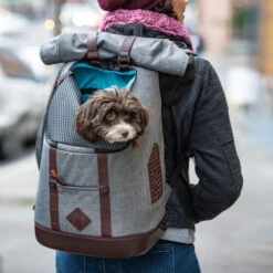 Kurgo K9 Rugzak 9 Kurgo K9 Rugzak -Premium Dierenwinkel kurgo k9 rugzak 208103 0500 none