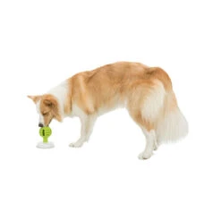 Trixie Lick'n'Snack Bal -Premium Dierenwinkel licknsnack bal 184660 0500 none