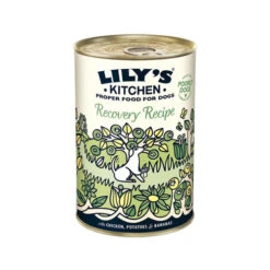 Lily's Kitchen Hondenvoer - Blik 38 Lily's Kitchen Hondenvoer - Blik -Premium Dierenwinkel lilys kitchen hondenvoer blik 202370 0500 none