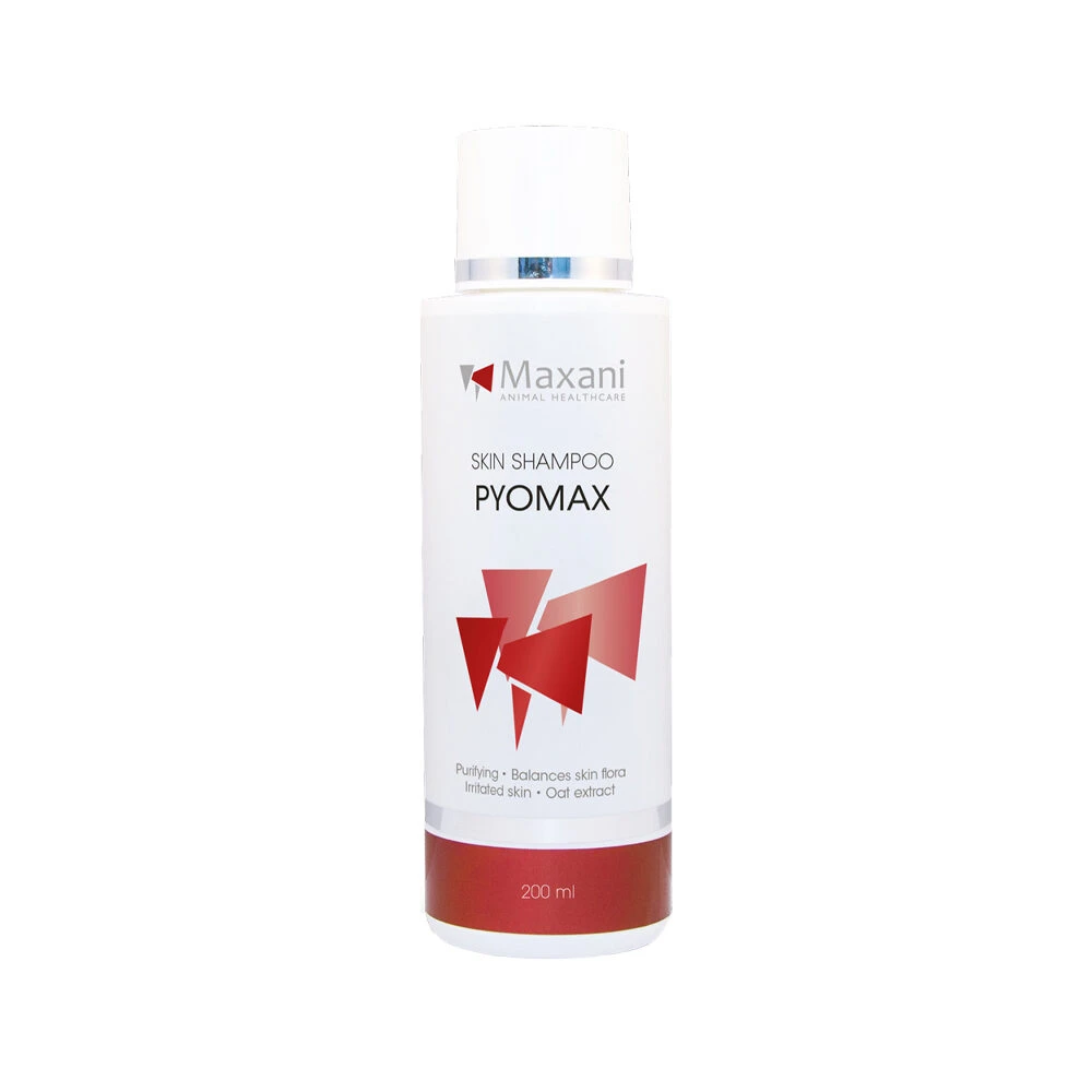 Maxani PyoMax Skin Shampoo 4 Maxani PyoMax Skin Shampoo - Afbeelding 4