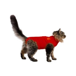 Medical Pet Shirt Kat -Premium Dierenwinkel medical pet shirt kat 167401 1000 none