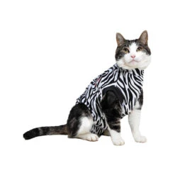 Medical Pet Shirt Kat Zebra -Premium Dierenwinkel medical pet shirt kat zebra print 167365 1000 none