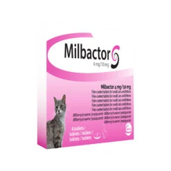 Milbactor Kat 8 Milbactor Kat -Premium Dierenwinkel milbactor kat 176956 1000 none