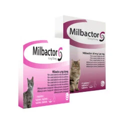 Milbactor Kat 7 Milbactor Kat -Premium Dierenwinkel milbactor kat 176962 1000 none