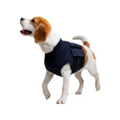 MPS-TOP Shirt 4 In 1 -Premium Dierenwinkel mps top shirt 4 in 1 149909 2000 none