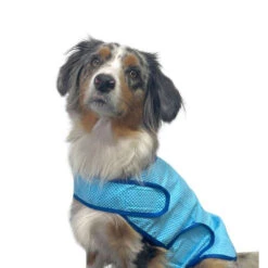 Nobby Cooling Vest 11 Nobby Cooling Vest -Premium Dierenwinkel nobby cooling vest 222498 1000 none