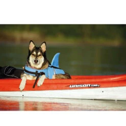 Nobby Sharki Hondenzwemvest 27 Nobby Sharki Hondenzwemvest -Premium Dierenwinkel nobby sharki hondenzwemvest 221666 1000 none