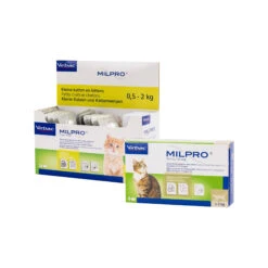 Milpro Kat -Premium Dierenwinkel p6uRcfkkGf7cSwzwmznNV1AQwS94aC metaTWlscHJvLWthdC5qcGc