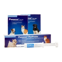 Panacur - Hond & Kat 18 Panacur - Hond & Kat -Premium Dierenwinkel panacur hond en kat 88405 1000 none