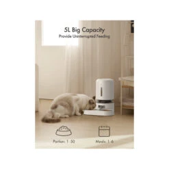 Petlibro Granary Dual Food Tray 15 Petlibro Granary Dual Food Tray -Premium Dierenwinkel petlibro granary dual food tray 221350 2000 none