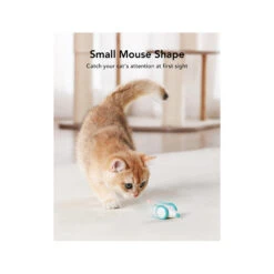 Petlibro Pixie Mouse 7 Petlibro Pixie Mouse -Premium Dierenwinkel petlibro pixie mouse 221373 2000 none