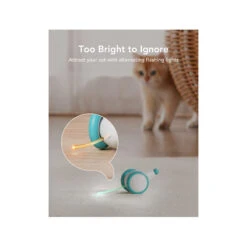 Petlibro Pixie Mouse 8 Petlibro Pixie Mouse -Premium Dierenwinkel petlibro pixie mouse 221374 2000 none