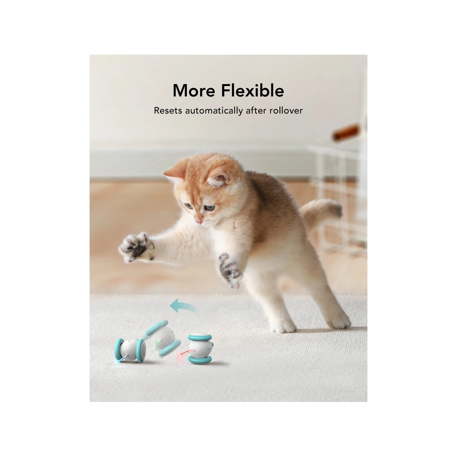 Petlibro Pixie Mouse 5 Petlibro Pixie Mouse - Afbeelding 5