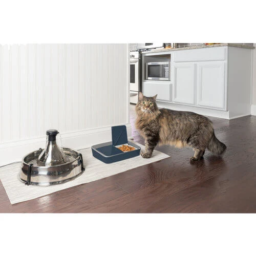 PetSafe Automatic 2 Meal Pet Feeder 3 PetSafe Automatic 2 Meal Pet Feeder - Afbeelding 3