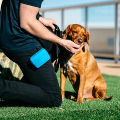 Popware Pooch Pouch Treatbag -Premium Dierenwinkel popware pooch pouch treatbag 164698 2000 none