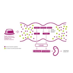 Porus One 15 Porus One -Premium Dierenwinkel porus one 134455 1000 none