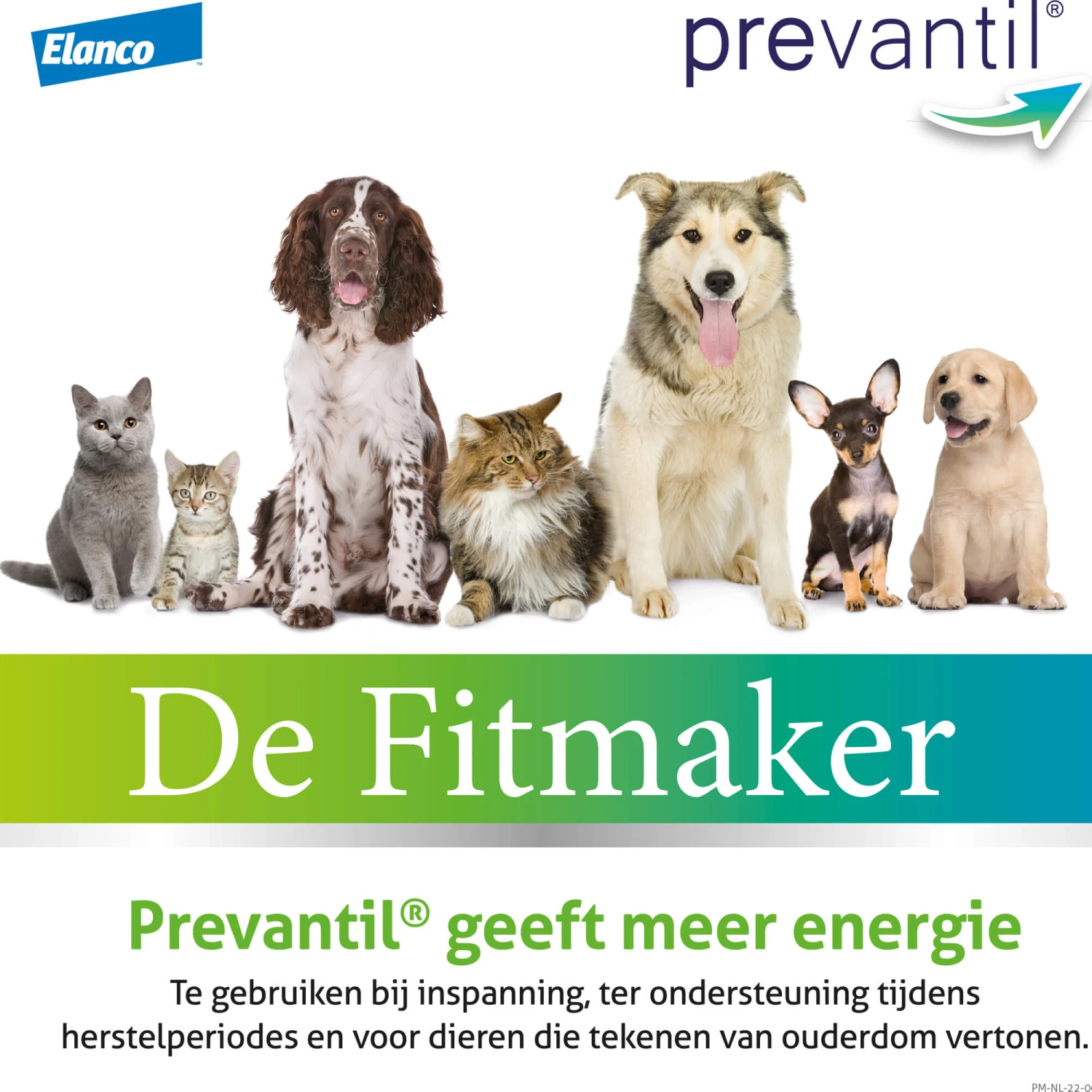 Bayer Prevantil 5 Bayer Prevantil - Afbeelding 5